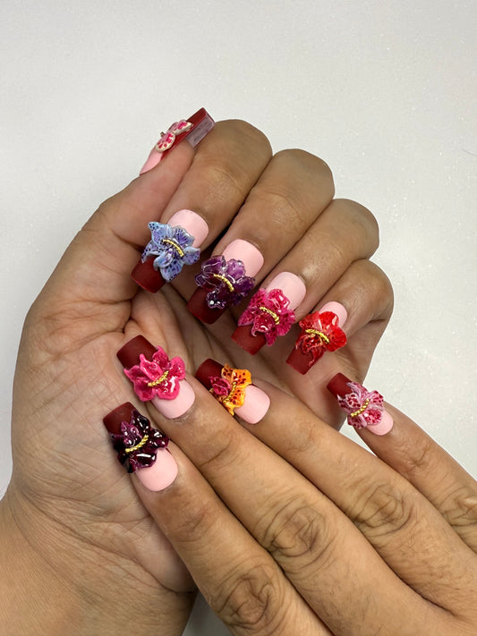 ORCHID HAVEN